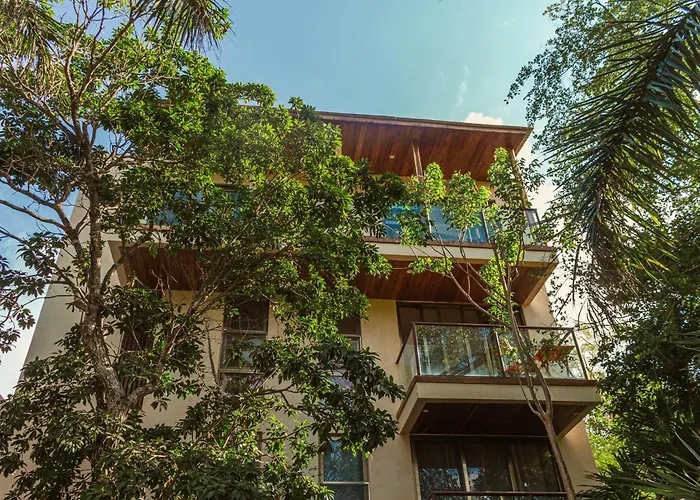 Appartement Master Jungle Penthouse With Large Private Terrace - Santuario Boutique *